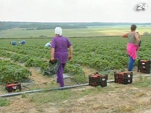 Польша готова нанять 150 тысяч украинцев на работу