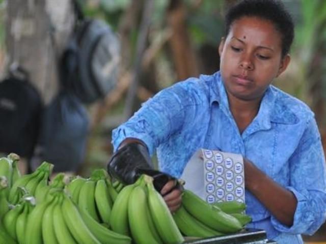 В Еквадорі перевиробництво бананів