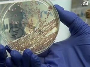 Кишечную палочку обнаружили в водопроводе Копенгагена Кишечную палочку обнаружили в водопроводе Копенгагена