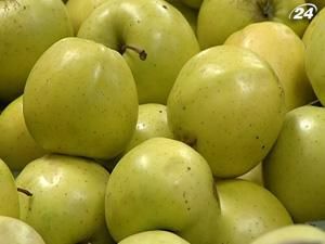 Україна посіла 4 місце в Європі за валовим збором яблук