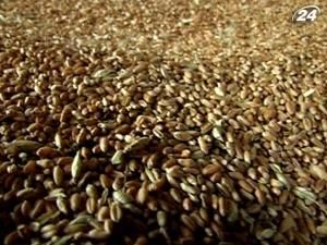 Україна завершила збір ранніх зернових Україна завершила збір ранніх зернових