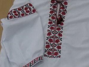 В Черновцах ко Дню независимости продают вышиванки для животных В Черновцах ко Дню независимости продают вышиванки для животных