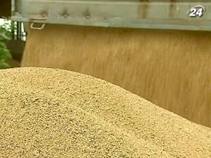 Получить льготные кредиты крестьянам будет проще Получить льготные кредиты крестьянам будет проще