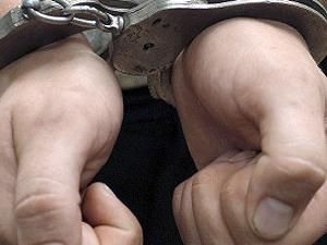 В Австрии задержали мужчину по обвинению в регулярном насилии умственно неполноценных дочерей