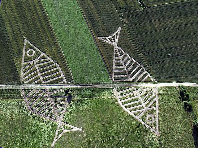 На українсько-польському кордоні з’явились дві гігантські риби