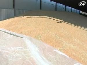 Правительство может отменить экспортные пошлины на зерно Правительство может отменить экспортные пошлины на зерно