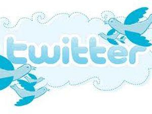 Отныне словарь толкует термин "tweet" 