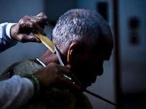 Для защиты природы японская фирма стрижет всех сотрудников Для защиты природы японская фирма стрижет всех сотрудников