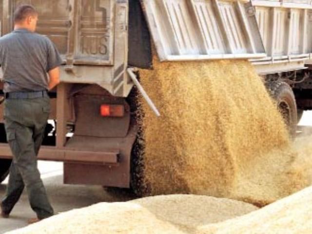 Армения планирует отказаться от импортируемого зерна