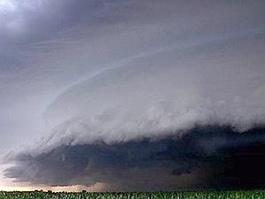 У США внаслідок урагану загинули щонайменше 4 людини У США внаслідок урагану загинули щонайменше 4 людини