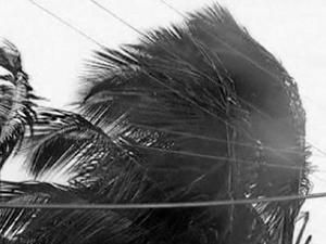 Жертвами урагана "Айрин" стали уже 10 человек Жертвами урагана "Айрин" стали уже 10 человек