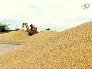 Прогноз урожая зерновых повысили до 50 млн. тонн