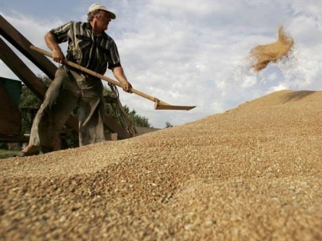 В сентябре депутаты могут отменить пошлины на зерно
