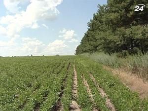 Держпідтримку отримали тільки 10% фермерів Держпідтримку отримали тільки 10% фермерів