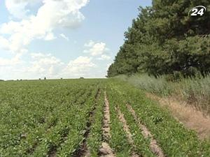 Господдержку получили только 10% фермеров