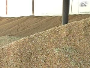 Україна майже зупинила експорт зернових через російський демпінг