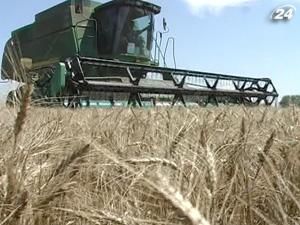 Минфин не согласился разблокировать экспорт зерна - 31 августа 2011 - Телеканал новин 24 Минфин не согласился разблокировать экспорт зерна - 31 августа 2011 - Телеканал новин 24