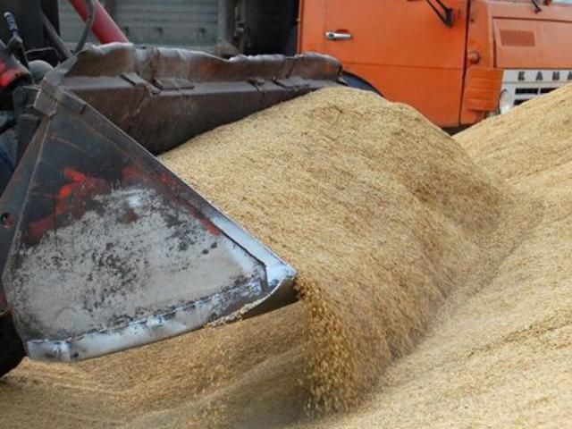 Загадочный "Хлеб Инвестстрой" обеспечил треть экспорта зерна 