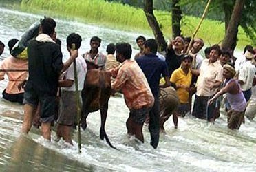 У Нігерії внаслідок повені загинуло понад 100 осіб У Нігерії внаслідок повені загинуло понад 100 осіб