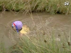 У Великій Британії відбулися запливи у болоті У Великій Британії відбулися запливи у болоті