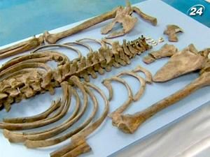 В Австралии нашли останки легендарного грабителя Неда Келли В Австралии нашли останки легендарного грабителя Неда Келли