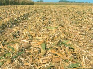 Во время сна, человек потерял две ноги Во время сна, человек потерял две ноги