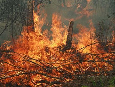 На выходные в Украине прогнозируют высокую вероятность пожаров