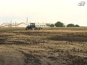 Подготовка к открытию рынка земли идет по плану - 3 сентября 2011 - Телеканал новин 24