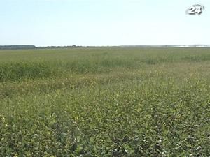 Україна завершує підготовку до відкриття ринку земель Україна завершує підготовку до відкриття ринку земель