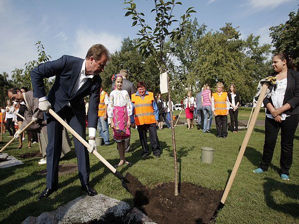 У Києві посадили алею сакур У Києві посадили алею сакур