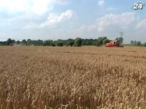 15% - прогноз роста валовой аграрной продукции до конца года