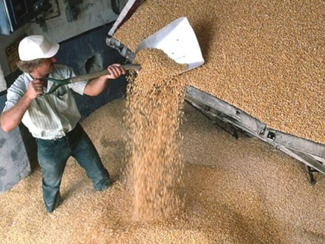 Минагрополитики: Отменять пошлины не будут