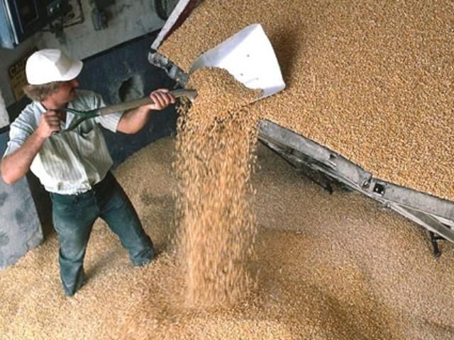 Минагрополитики: Отменять пошлины не будут Минагрополитики: Отменять пошлины не будут