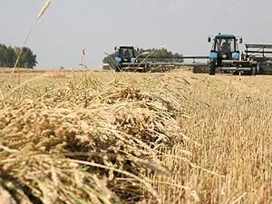 Азаров: Хотим долгосрочный контракт с Саудовской Аравией на экспорт зерна 