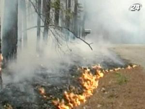 Сотні будинків згоріли внаслідок пожеж у Техасі