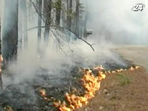 В американском штате Техас из-за лесных пожаров сгорели сотни домов 