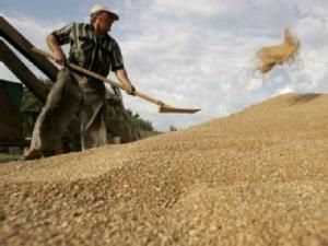 Україна хоче продати зерно Японії