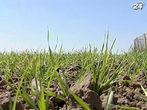 Земля в Україні з кожним роком дорожчатиме Земля в Україні з кожним роком дорожчатиме