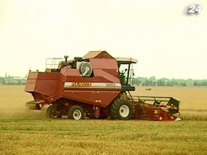 Урожай зерновых в 2012 г. снизится на 20%