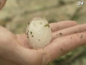 У Німеччині випав град розміром з куряче яйце У Німеччині випав град розміром з куряче яйце