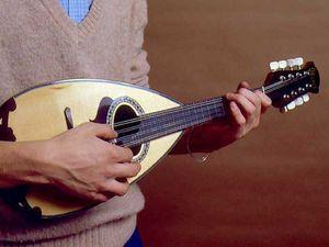 Шведа задержала полиция за исполнение серенады