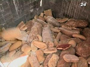 Граждане ЕС ежегодно выбрасывают на помойку 90 млн. тонн продуктов