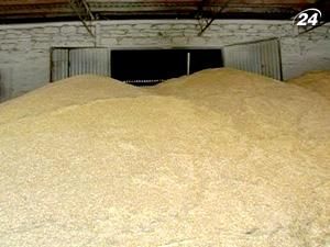 Янукович доручив створити регіональні резерви зерна Янукович доручив створити регіональні резерви зерна