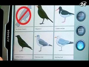 Ultima - відлякувач птахів Ultima - відлякувач птахів