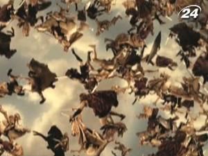 Бюжет фентезійної драми "Війна богів" - 115 мільйонів доларів Бюжет фентезійної драми "Війна богів" - 115 мільйонів доларів