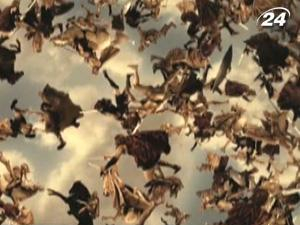 Бюджет фэнтезийной драмы "Война богов" - 115 миллионов долларов