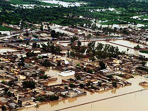 ООН закликала зібрати 365 мільйонів доларів для Пакистану ООН закликала зібрати 365 мільйонів доларів для Пакистану