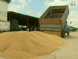 Зерновой и масляный рынки заблокированы