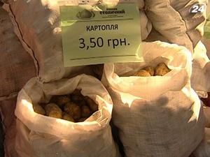Ціна на картоплю продовжує “обвалювати” споживчий кошик