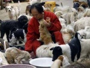 У Китаї заборонили фестиваль страв із собачого м'яса